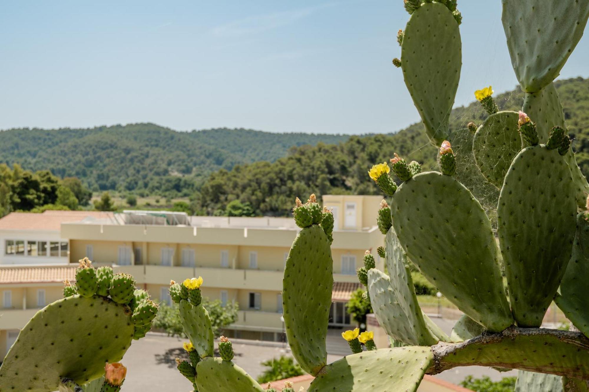 Hotel Sfinalicchio Vieste Esterno foto